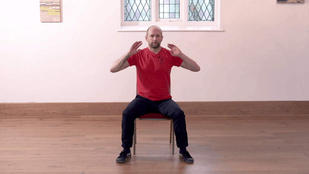Qigong Chair Exercises